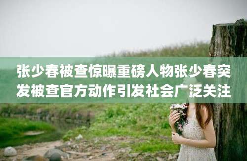 张少春被查惊曝重磅人物张少春突发被查官方动作引发社会广泛关注