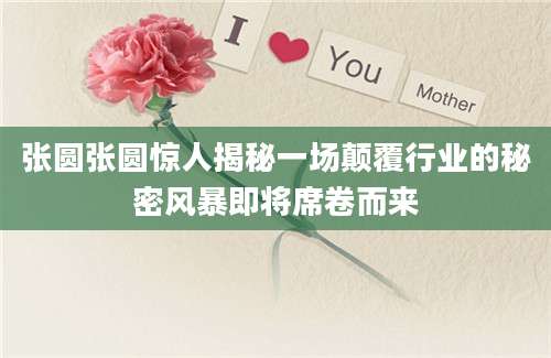 张圆张圆惊人揭秘一场颠覆行业的秘密风暴即将席卷而来