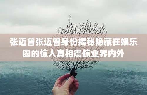 张迈曾张迈曾身份揭秘隐藏在娱乐圈的惊人真相震惊业界内外