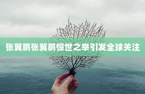 张翼鹏张翼鹏惊世之举引发全球关注