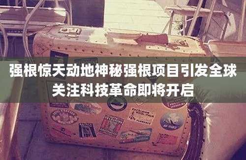 强根惊天动地神秘强根项目引发全球关注科技革命即将开启