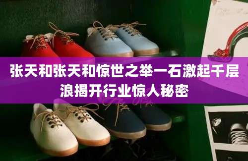 张天和张天和惊世之举一石激起千层浪揭开行业惊人秘密