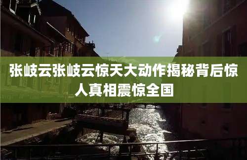 张岐云张岐云惊天大动作揭秘背后惊人真相震惊全国