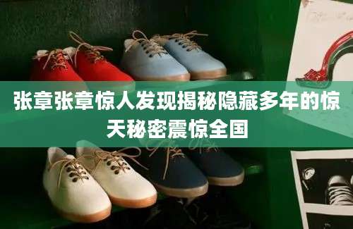 张章张章惊人发现揭秘隐藏多年的惊天秘密震惊全国