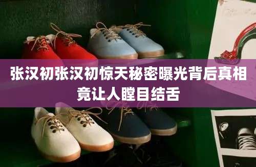 张汉初张汉初惊天秘密曝光背后真相竟让人瞠目结舌