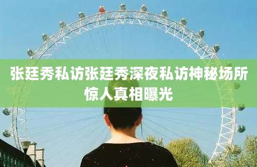 张廷秀私访张廷秀深夜私访神秘场所惊人真相曝光