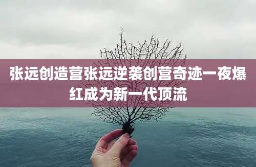 张远创造营张远逆袭创营奇迹一夜爆红成为新一代顶流