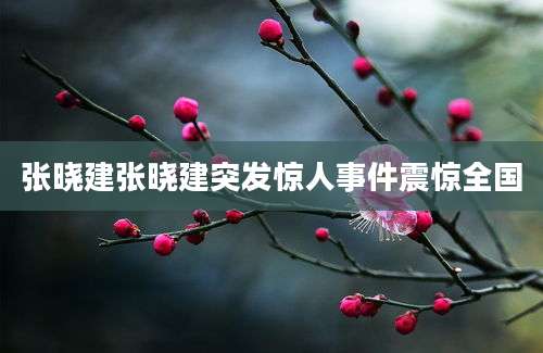 张晓建张晓建突发惊人事件震惊全国