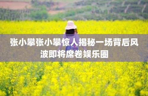 张小攀张小攀惊人揭秘一场背后风波即将席卷娱乐圈