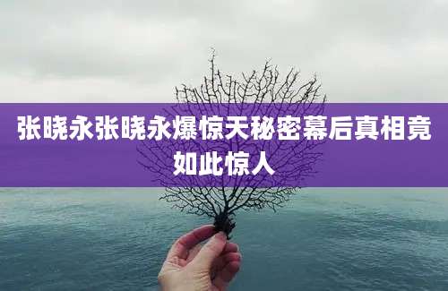 张晓永张晓永爆惊天秘密幕后真相竟如此惊人