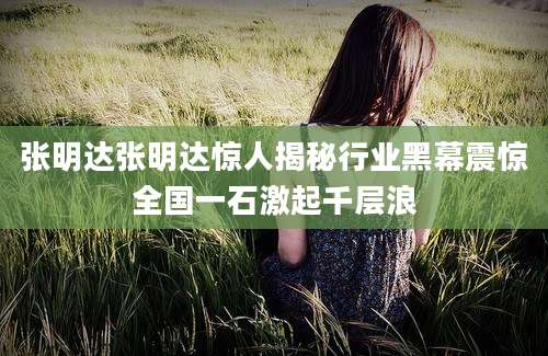 张明达张明达惊人揭秘行业黑幕震惊全国一石激起千层浪