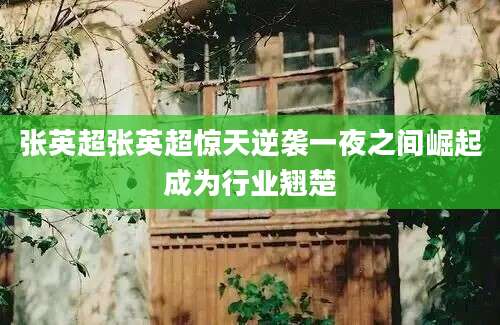 张英超张英超惊天逆袭一夜之间崛起成为行业翘楚