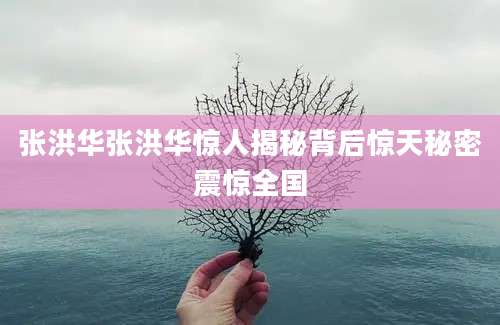 张洪华张洪华惊人揭秘背后惊天秘密震惊全国