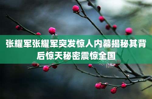 张耀军张耀军突发惊人内幕揭秘其背后惊天秘密震惊全国