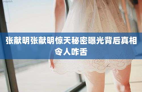 张献明张献明惊天秘密曝光背后真相令人咋舌
