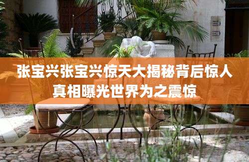 张宝兴张宝兴惊天大揭秘背后惊人真相曝光世界为之震惊