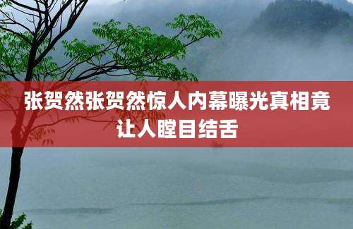 张贺然张贺然惊人内幕曝光真相竟让人瞠目结舌