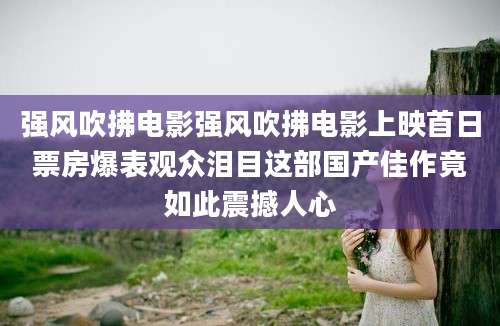 强风吹拂电影强风吹拂电影上映首日票房爆表观众泪目这部国产佳作竟如此震撼人心