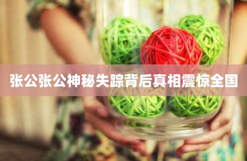 张公张公神秘失踪背后真相震惊全国