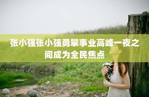 张小强张小强勇攀事业高峰一夜之间成为全民焦点