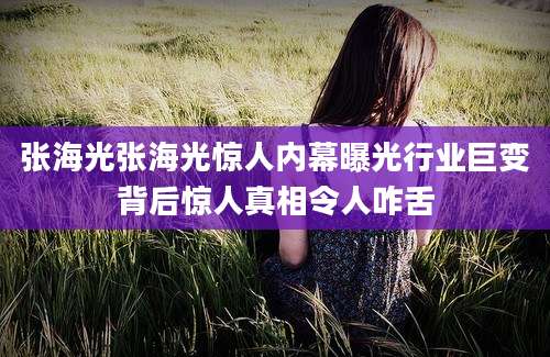 张海光张海光惊人内幕曝光行业巨变背后惊人真相令人咋舌