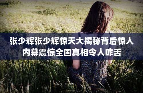 张少辉张少辉惊天大揭秘背后惊人内幕震惊全国真相令人咋舌