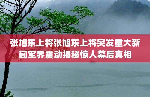 张旭东上将张旭东上将突发重大新闻军界震动揭秘惊人幕后真相