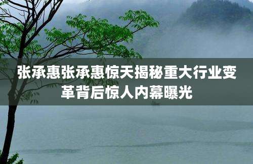 张承惠张承惠惊天揭秘重大行业变革背后惊人内幕曝光
