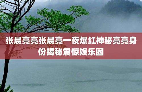 张晨亮亮张晨亮一夜爆红神秘亮亮身份揭秘震惊娱乐圈