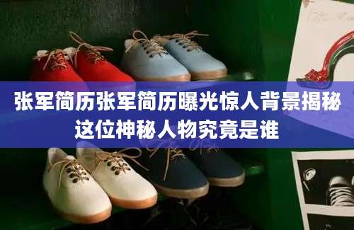 张军简历张军简历曝光惊人背景揭秘这位神秘人物究竟是谁