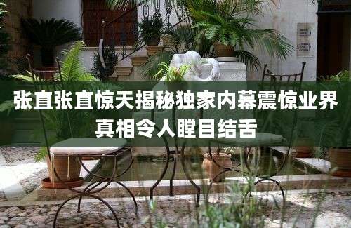 张直张直惊天揭秘独家内幕震惊业界真相令人瞠目结舌