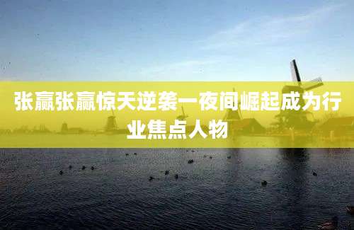 张赢张赢惊天逆袭一夜间崛起成为行业焦点人物