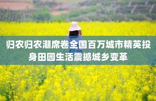 归农归农潮席卷全国百万城市精英投身田园生活震撼城乡变革
