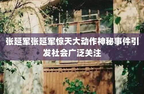 张延军张延军惊天大动作神秘事件引发社会广泛关注