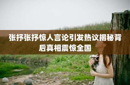 张抒张抒惊人言论引发热议揭秘背后真相震惊全国