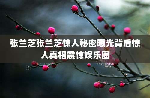 张兰芝张兰芝惊人秘密曝光背后惊人真相震惊娱乐圈