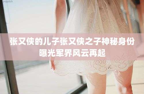 张又侠的儿子张又侠之子神秘身份曝光军界风云再起