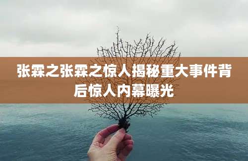 张霖之张霖之惊人揭秘重大事件背后惊人内幕曝光