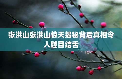 张洪山张洪山惊天揭秘背后真相令人瞠目结舌