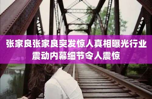 张家良张家良突发惊人真相曝光行业震动内幕细节令人震惊
