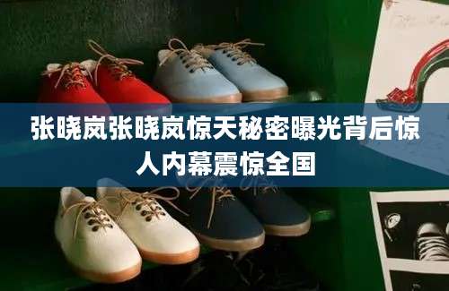 张晓岚张晓岚惊天秘密曝光背后惊人内幕震惊全国