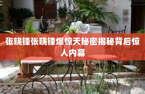 张晓锋张晓锋爆惊天秘密揭秘背后惊人内幕