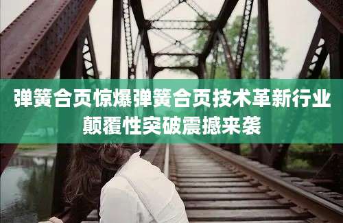 弹簧合页惊爆弹簧合页技术革新行业颠覆性突破震撼来袭