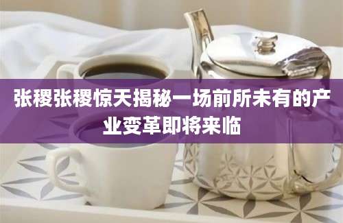 张稷张稷惊天揭秘一场前所未有的产业变革即将来临