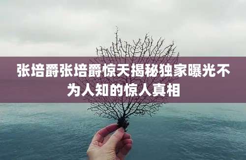 张培爵张培爵惊天揭秘独家曝光不为人知的惊人真相