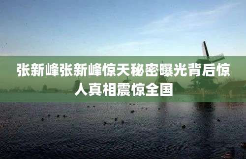 张新峰张新峰惊天秘密曝光背后惊人真相震惊全国