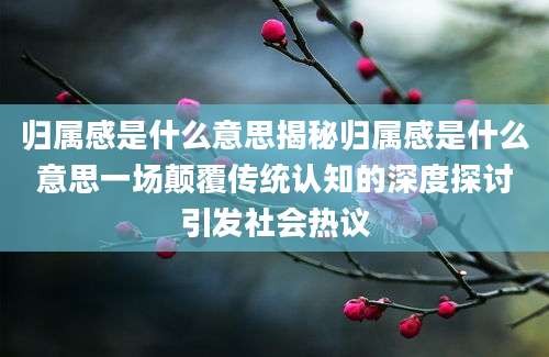 归属感是什么意思揭秘归属感是什么意思一场颠覆传统认知的深度探讨引发社会热议