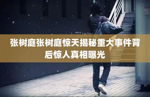张树庭张树庭惊天揭秘重大事件背后惊人真相曝光
