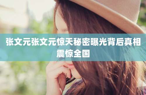 张文元张文元惊天秘密曝光背后真相震惊全国