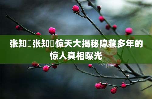 张知垚张知垚惊天大揭秘隐藏多年的惊人真相曝光